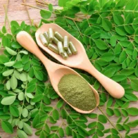 Folhas frescas de moringa e pó de moringa em destaque, mostrando a versatilidade e os benefícios desse superalimento natural.